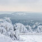 Producent znaków drogowych: po czym poznać ofertę dopasowaną do warunków inwestycji?